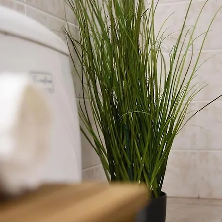 Βίλα η μονοκατοικία της χαράς. *