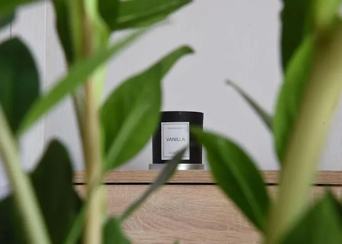 Villa η μονοκατοικία της χαράς. Kalamáki