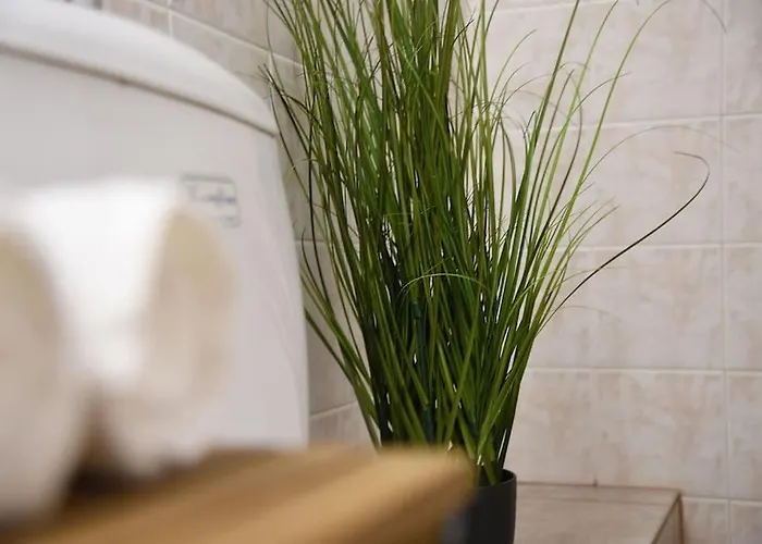 Villa η μονοκατοικία της χαράς. *