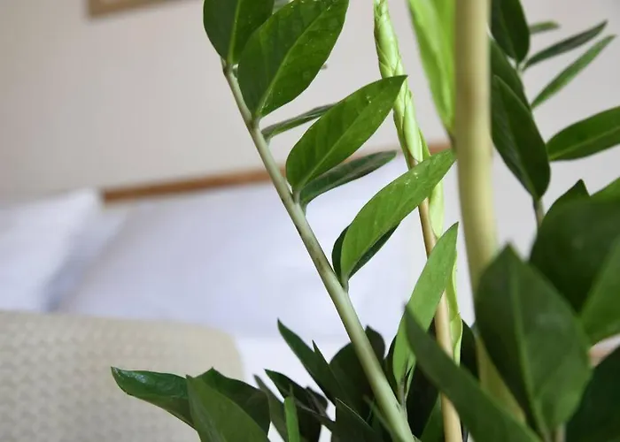 η μονοκατοικία της χαράς. Kalamáki